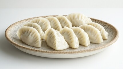 Plate of dumplings with a crispy golden crust and sauce on the side, providing a tempting and satisfying visual appeal.