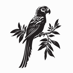 Tropical bird perched on a branch image vector isolated on white background.