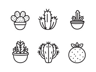 Hand drawn cactus fruit food line art vector illustration