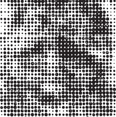 A grayscale reveals a hidden portrait composed of densely packed black and white dots.
