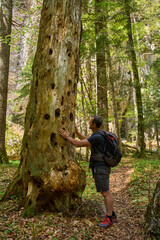 Man interacting with old tree in forest
