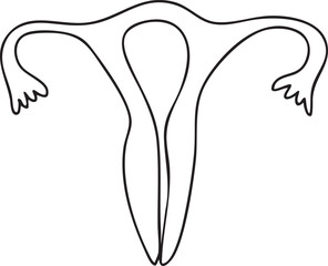 A minimalist drawing depicts a female reproductive organ.