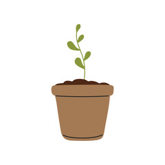 Young Potted Plant Sprout in a Brown Clay Pot