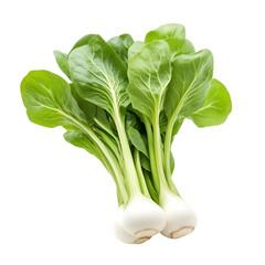 Fresh Bok Choy vibrant green leaves healthy vegetable