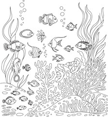 Underwater Scene with Seaweed and Fish &ndash; Detailed Black and White Line Drawing
