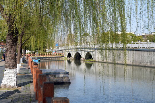 Br&uuml;cke und Baumallee in Zhujiajiao, Wasserstadt, Venedig des Ostens, Kanal, Fluss, Bauwerk, Touristen, Shanghai, China, Asien, Zhujiajiao Ancient Town, anreisen, Wasser