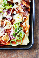 Pizza with mozzarella cheese and leek. Top view. Copy space.