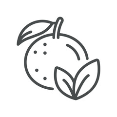 Vector Orange with Leaf Icon. Simple Line Illustration of a Whole Orange with Leaves, Representing Sustainable Citrus Farming and Eco Friendly Natural Nutrition.
