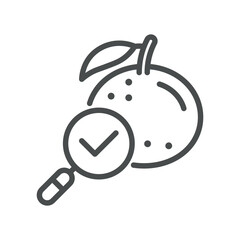 Orange Quality Check Icon. Simple Line Illustration of Citrus Inspection with Magnifying Glass and Check Mark, Representing Certified Produce Safety and Quality Control.