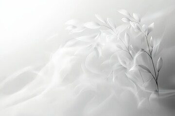 Fototapeta premium Delicate white floral arrangement on flowing fabric.
