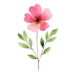 Minimalistic watercolor art of a cute spring blooming flower with green leaves for artistic design and home decor