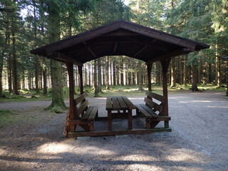 bench in the park