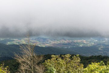 Mountain Landscape Surrounded by Lush Green Forest.