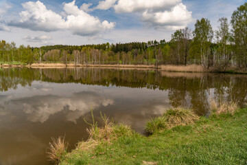 Kleiner Teich bei Lipova im Lausitzer Gebirge 5
