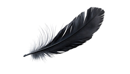 A single black feather with a fluffy white vane,  isolated against a pure black background. Detailed and sharp