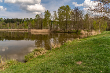 Kleiner Teich bei Lipova im Lausitzer Gebirge 4