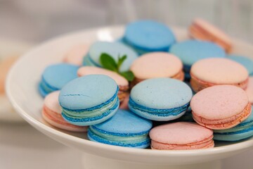 Colorful macarons displayed on a white plate at a delightful gathering in a charming cafe