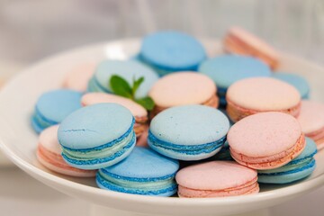 Delightful pastel macarons arranged on a beautiful white plate at a springtime gathering