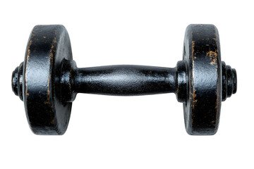 Fototapeta premium Heavy, black dumbbell, round weights, sturdy handle