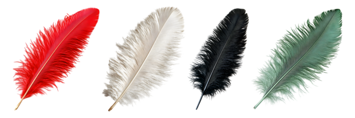 Set of red green black Ostrich feather isolated on transparent background	