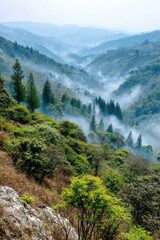 Obraz premium Misty Forested Hills Under Morning Fog – Behdienkhlam in Meghalaya