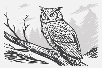 Obraz premium 1 Realistic owl sketch, detailed feathers, perched on branch, black and white drawing, graphite pencil art, textured paper background, sharp eyes, tufted ears, wise expression, wildlife illustration, 