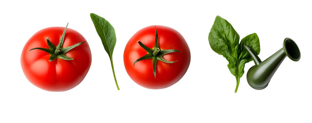 Fresh tomatoes, spinach, and a pipe