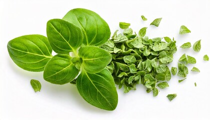 Fototapeta premium Healthy greens. 