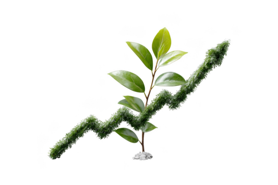 Growing plant symbolizing growth and progress with a line graph intertwined. Png, Transparent background.