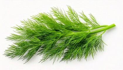 Fototapeta premium Healthy greens. 