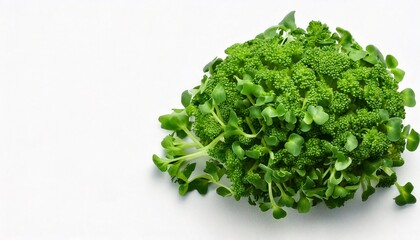 Obraz premium Healthy greens. 