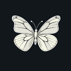 white butterfly vector illustration on black bacground
