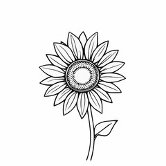 Fototapeta premium Black and White Sunflower Illustration Against White Background 