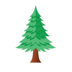 christmas tree isolated on white