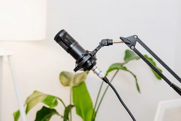Microphone setup for recording a podcast in a modern office environment with a laptop and greenery
