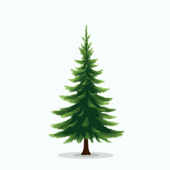 christmas fir tree isolated on white background