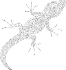 Naklejka premium A black gecko gracefully curves along a white background.