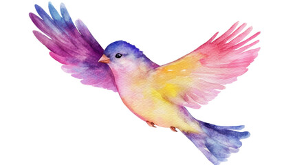 Fototapeta premium Peaceful White Dove Isolated on White Background with Soft Feathers and Elegant Pose