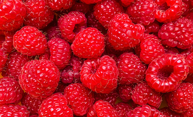 A vibrant and detailed close-up of fresh, ripe raspberries