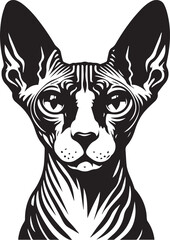 Sphynx Cat Vector Black and White Line Art Illustration