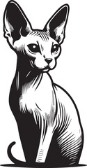 Sphynx Cat Vector Black and White Line Art Illustration