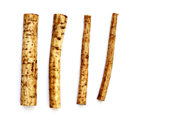 Fresh burdock roots or gobo roots