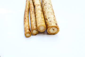 Fresh burdock roots or gobo roots