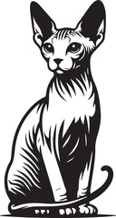 Sphynx Cat Vector Black and White Line Art Illustration