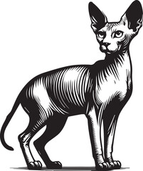 Sphynx Cat Vector Black and White Line Art Illustration