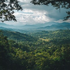 Fototapeta premium The mesmerizing view of lush green forest landscape with mountain ranges under dramatic cloudscape, framed by tree branches creates serenity.