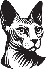 Sphynx Cat Vector Black and White Line Art Illustration