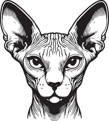 Sphynx Cat Vector Black and White Line Art Illustration