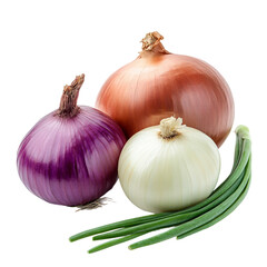 Fototapeta premium Fresh onions in different varieties for culinary use isolated [Transparent Background PNG].