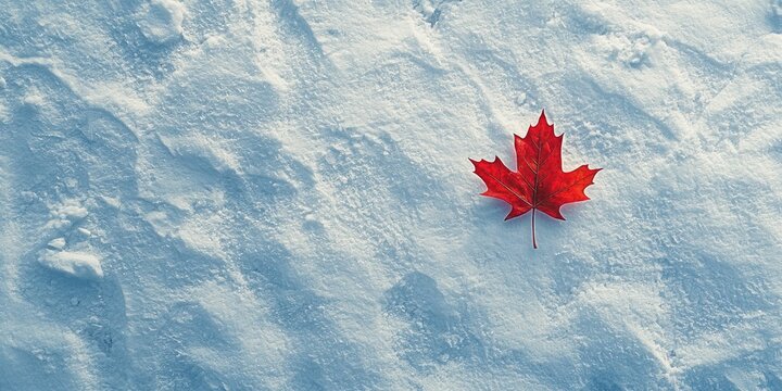 Aerial view of a snowy landscape with single red leaf as focal point